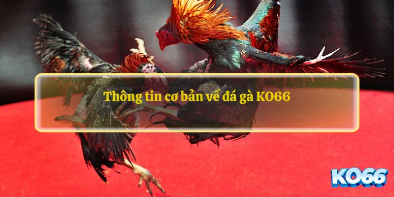 CSKH nhiệt tình, chuyên nghiệp túc trực 24/7