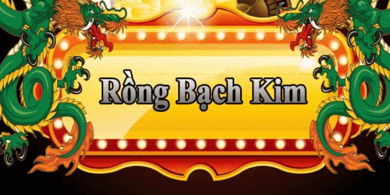 Giới thiệu về cách bắt cầu rồng bạch kim