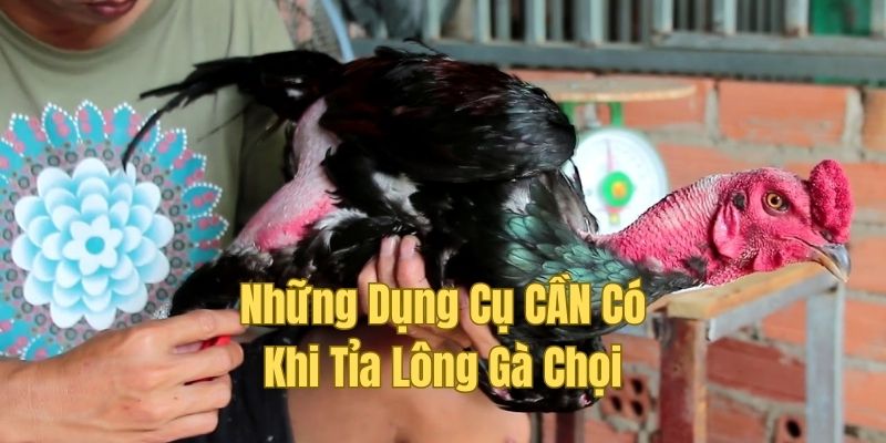 Quá trình chuẩn bị trước khi thực hiện thủ thuật