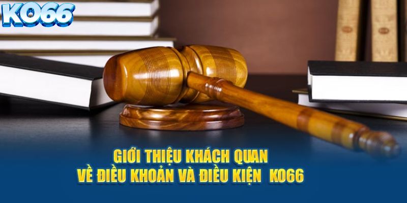Giới thiệu sơ lược về điều khoản điều kiện