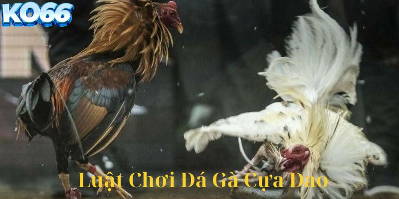 Luật chơi Đá gà cựa dao ?