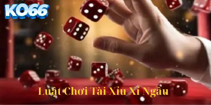 Luật chơi tài xỉu xí ngầu đơn giản