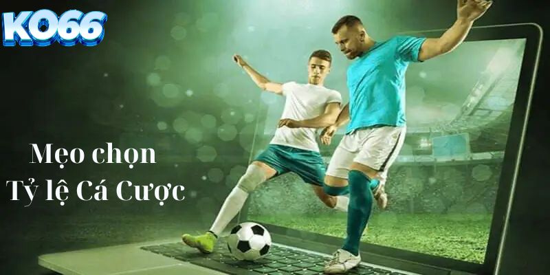 Mẹo chọn tỷ lệ cá cược phù hợp