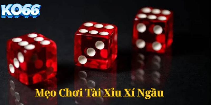 Mẹo chơi tài xỉu xí ngầu thắng lớn